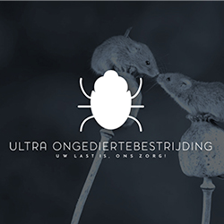 Ongediertebestrijding-Hasselt